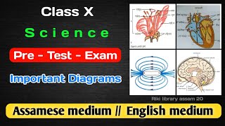 Class 10 Science Diagrams 2025  Class 10 Science HSLC Exam Diagramdiagram class10science [upl. by Nitsirt]