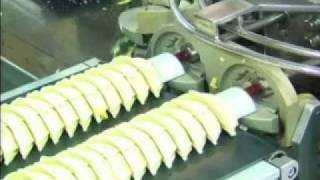 餃子成形機 Gyoza making machine AD10 [upl. by Sivolc100]