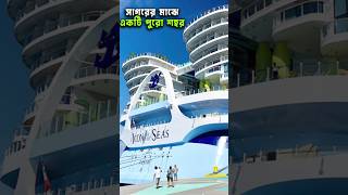 Icon of the seas foryou [upl. by Nolahs]