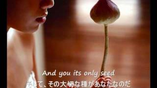 The Rose  Bette Midler 歌詞字幕）English amp Japanese Lyrics [upl. by Hallam]