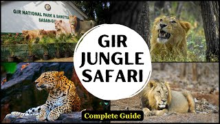 Gir Lion Safari Full Details  Best stay at Sasan Gir  Gir National Park  Sasan Gir Jungle Safari [upl. by Eedahs]