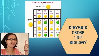 What is Dihybrid Cross NCERTLawsOfIndependentAssortmentGeneticsandEvolution12thBiology [upl. by Ecinnaj763]