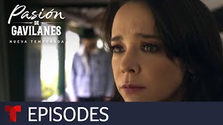 Pasión de Gavilanes New Season  Episode 71  Telemundo English [upl. by Aiekam937]