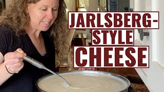 JarlsbergStyle Cheese  How To Make [upl. by Nnaasil]