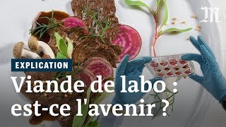 La viande de laboratoire peutelle nourrir la planète [upl. by Anned408]