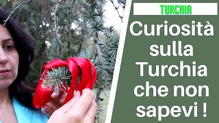 Curiosità sulla Turchia che non sapevi [upl. by Gomar]