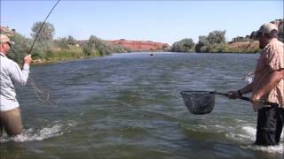 The Humble Fly Shop Presents Thermopolis Wyoming [upl. by Leverett494]