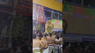 Hanumantha Vaganam Sri Lakshmi Hayavadana Perumal Kovil Nanganallur Brahmotsavam 2024 [upl. by Deeann]