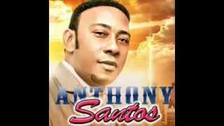 Anthony Santos  Bachata MIX 2014 [upl. by Liahkim883]