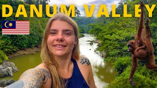 3 DAYS in 130 millionyearold JUNGLE IN BORNEO DANUM VALLEY PART 1 [upl. by Dnomyaw212]