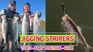 JIGGING STRIPERS for 50 Fish Days Tides Boat Positioning Gear amp Tackle [upl. by Fates777]