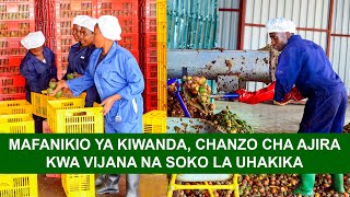 MAFANIKIO YA KIWANDA CHANZO CHA AJIRA KWA VIJANA NA SOKO LA UHAKIKA [upl. by Atiuqnahs]