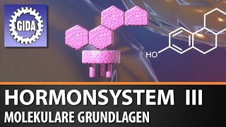 Trailer  Hormonsystem III  Molekulare Grundlagen Tier und Pflanze  Biologie  Schulfilm [upl. by Juieta526]