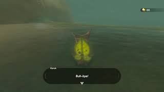 Korok seeds  Daval Peak  Wastland Tower 2  Zelda BOTW [upl. by Ano]