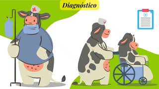 Hipocalcemia en vacas lecheras 🐮 [upl. by Ahsahs]