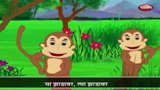 Top Nursery Rhymes For Kids  Makad  Marathi Balgeet  Popular Marathi Rhymes [upl. by Nilreb978]