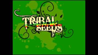 Tribal Seeds  Youth Rebellion [upl. by Roberts3]