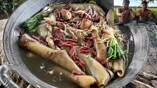 5 KG COW SKIN BOILING WITH CURRY RECIPE  Eating with spicy lemon sauce very yummy [upl. by Nochur]