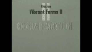 Fluxion  Vibrant Forms 2 Chain Reaction  08 Outerside CD1 [upl. by Aniloj]