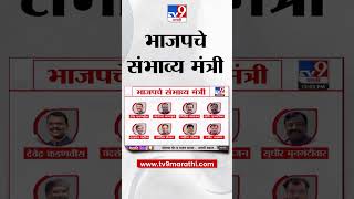 Mahayuti सरकार मधील BJP चे संभाव्य मंत्री  Election Final Result 2024 [upl. by Anailuig]