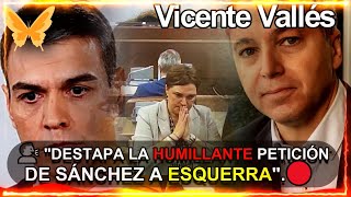 🦋 VICENTE VALLÉS DESTAPA LA HUMILLANTE PETICIÓN DE SÁNCHEZ A ESQUERRA mascoalba [upl. by Dinnage]