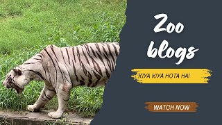 Delhi zoo  delhi zoo all animals  Delhi zoo online ticket booking ticket price Delhi chidiya ghar [upl. by Farrish]