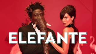 NK  ELEFANTE Official Video [upl. by Estrin]