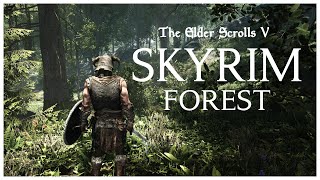 Skyrims Forest  Traverse The Ulvenwald  Folkvangr Grass [upl. by Cochran247]