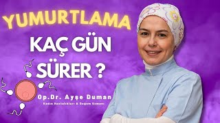 Yumurtlama Dönemi Kaç Gün Sürer [upl. by Filmore]