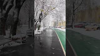 Winter Wonderland Stroll Soothing Asmr City Vibes [upl. by Aiciled]