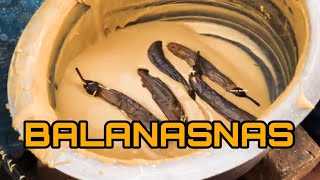 MUNTA MASALA NANG BAPA INDIAN STREET FOOD KAPAMPANGAN PARODY [upl. by Ahsenrad]