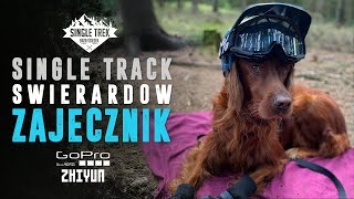 Świeradów  Zajęcznik  Góry Izerskie Single Track Świeradów  Enduro MTB DH TRASA [upl. by Pentha]