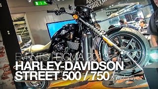 NOUVEAU 2014  EICMA  HARLEYDAVIDSON STREET 750 amp 500 2014 [upl. by Ainesell]