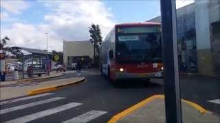 Bus Vlog 1  Lake Haven Shopping Centre [upl. by Abita]