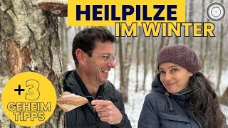 DIY  SO EINFACH  HEILPILZE im WINTER finden  3 GEHEIMREZEPTE zur Anwendung [upl. by Sueddaht]