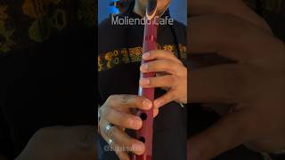 Moliendo Café quena livemusical flutemusic moliendocafe relaxingmusic [upl. by Asaret460]