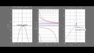 What is a Transcritical Bifurcation [upl. by Duffy]