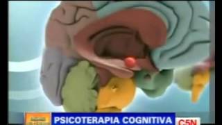 Psicoterapia y cambios cerebrales RMf [upl. by Sabra]