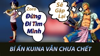 Giả Thuyết KUINA Bạn Niên Thiếu Zoro Vẫn Còn Sống [upl. by Notnil]