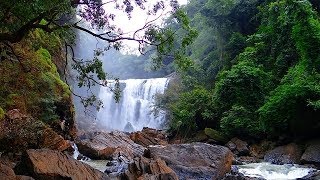 MAGNIFIQUE CASCADE Rivière et Oiseaux pour Oublier les Soucis et Dormir Profondément – 100 RELAX [upl. by Vivien]