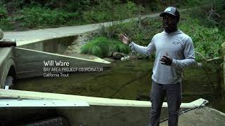 Pescadero amp Butano Creek Fish Tracking Project Fish Tracking Tech [upl. by Yauq]