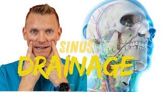 Warning This Sinus Drainage Technique Could Change Your Life [upl. by Wolpert367]