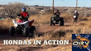 Honda 250x Recon and CRF 70 Playing on the Hillside [upl. by Vona]