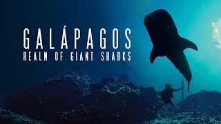 Galapagos Realm of Giant Sharks HD [upl. by Ezechiel]