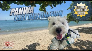 Phuket Roadtrip Final Leg  Panwa Beach  Pet Friendly Thailand [upl. by Ennaisoj]