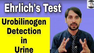 Ehrlichs Test  Urobilinogen Detection in Urine [upl. by Thenna]