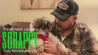 SCRAPPY Lymphoma Update  Chemo Treatment 2  Truly Remarkable Life [upl. by Somerset194]