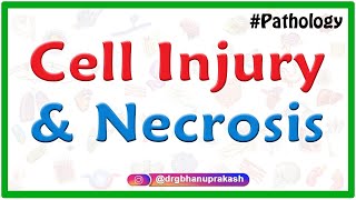 Cell injury and necrosis  General Pathology [upl. by Hannahsohs]