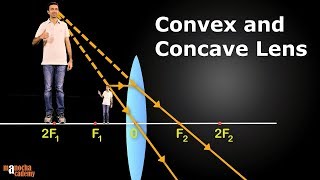 Convex and Concave Lenses [upl. by Spiro]