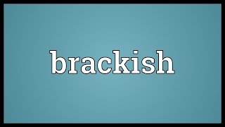 Brackish Meaning [upl. by Vonni]